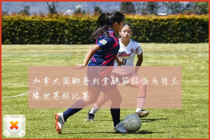 加拿大国脚普利索腿筋拉伤或将无缘世界杯比赛