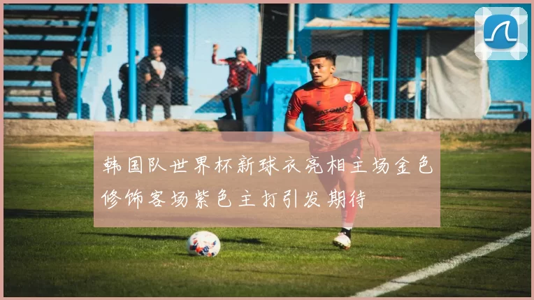 韩国队世界杯新球衣亮相主场金色修饰客场紫色主打引发期待